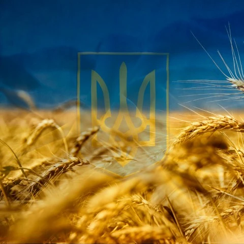 Благодійна організація «Українська ліга благодійників», в особі Голови правління Іванова Миколи Борисовича